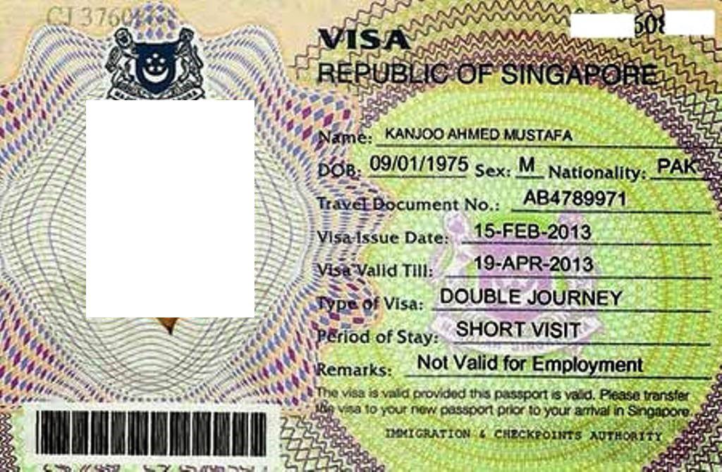 Виды разрешений для трудовой деятельности на территории Сингапура